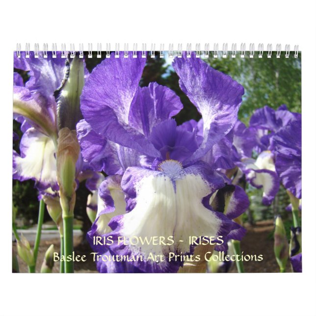 O CALENDÁRIO torna iridescentes flores da íris do (Capa)