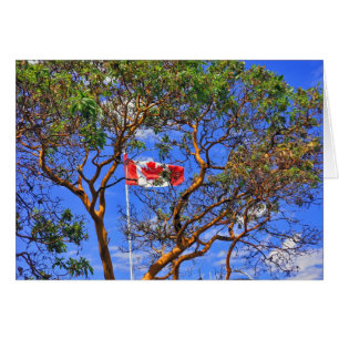 O Canadá - cartões