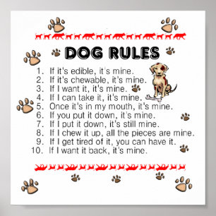 O cão ordena o poster