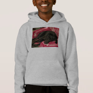 O cão sonolento caçoa a camisola encapuçado
