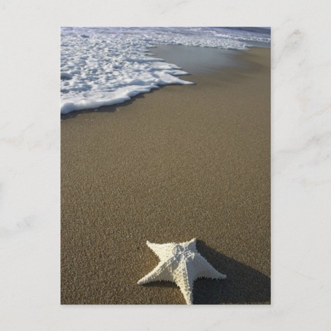 O cartão da praia (Frente)