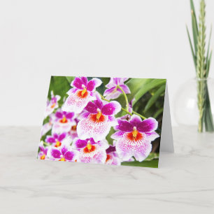 O Cartão de Abertura de Orquídeas Cattleya Rosa & 