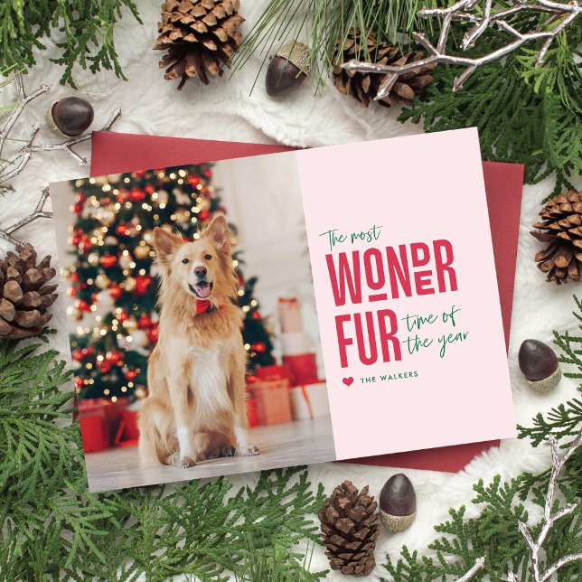 O cartão de Natal de fotos de animais de estimação (funny and sweet pet holiday card)