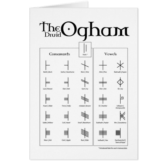 O cartão de Ogham do Druid (Frente)