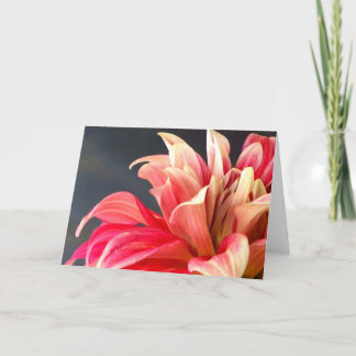 O cartão de qualquer ocasião.