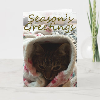 O Cartão de Saudação da Rubycotuesday