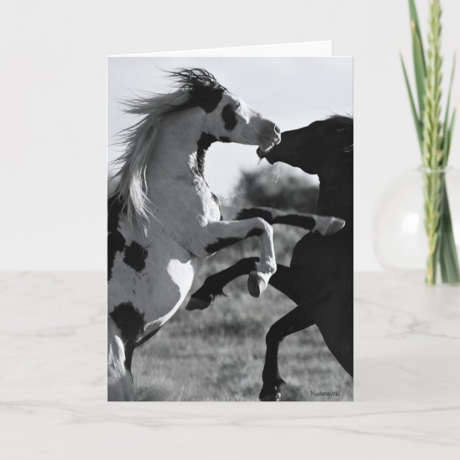 O cartão de saudação "Shaman" (Frente)