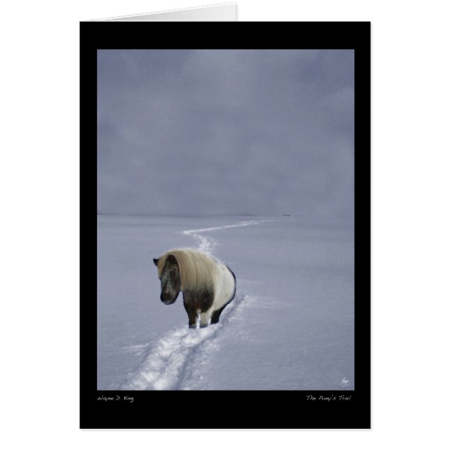 O cartão de viagem do Pôneo (Frente)