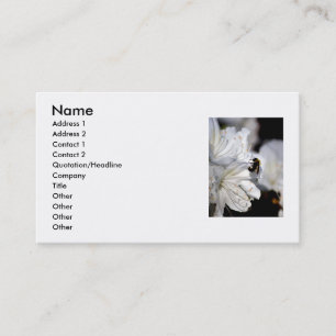 O cartão de visita do fotógrafo