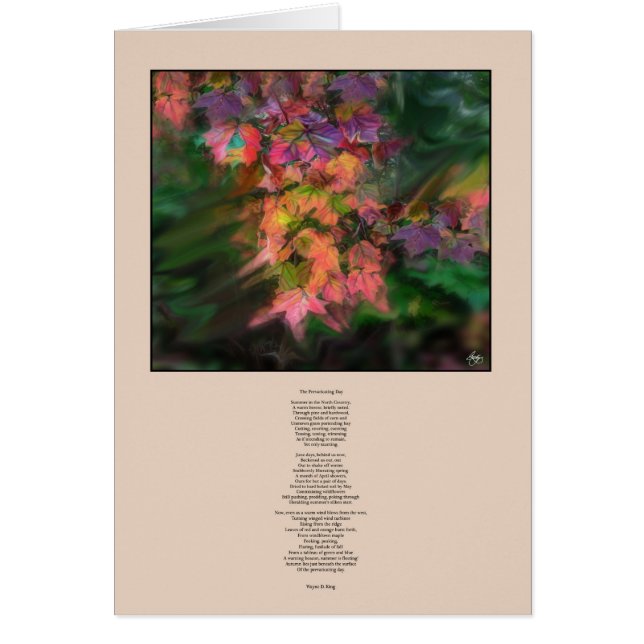 O Cartão do Dia Prevenidor (Frente)