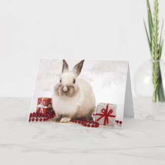 O cartão do feriado de WildRescue!