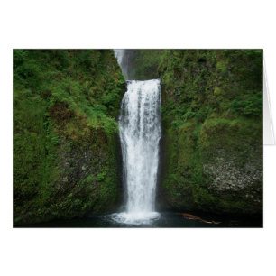 O cartão mais baixo das quedas