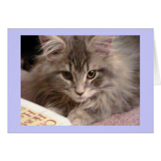 O cartão novo inútil de Maynard