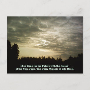 O cartão postal Daily Miracle
