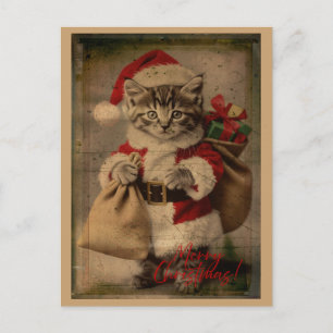 O cartão postal de Natal do gatinho 'Festa Louca'