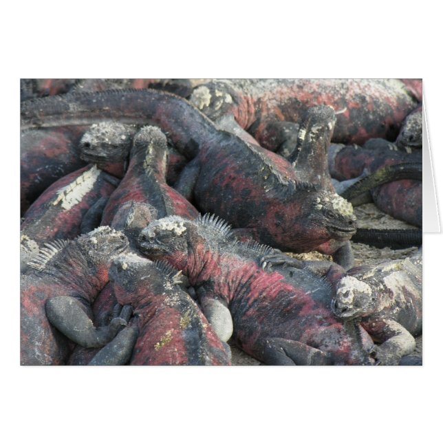 O cartão postal do pacto monstro (Frente Horizontal)