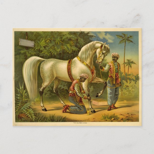 O cartão postal do Sultão em 2012 (Frente)