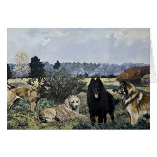 O Cartão Quatro Belgas