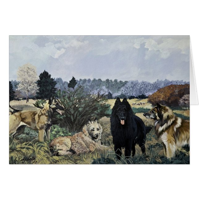 O Cartão Quatro Belgas (Frente horizontal)