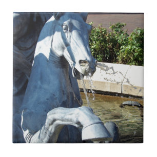 O Cavalo de Netuno, Detalhe da Fonte de Plaza