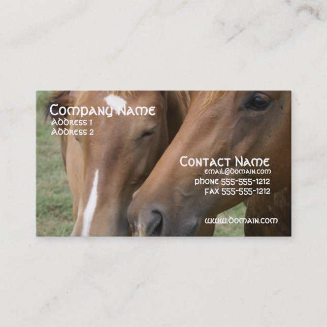 O cavalo Nuzzle o cartão de visita (Frente)