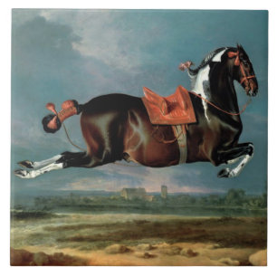 O Cavalo Piebaldo "Ceheroína"