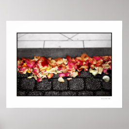 O CHÃO QUE VOCÊ PASSOU NO Poster