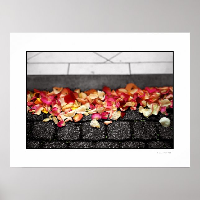 O CHÃO QUE VOCÊ PASSOU NO Poster (Frente)