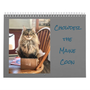 O Chowder do Calendário do Maine Coon