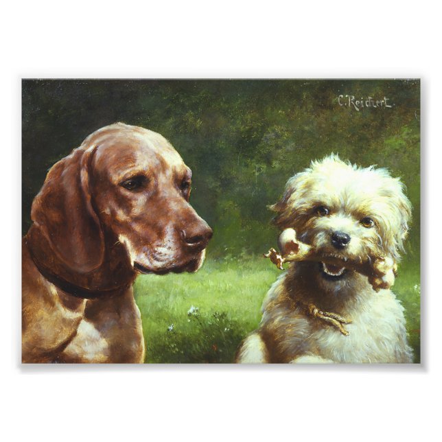 O cínico e a foto do filósofo (Frente)