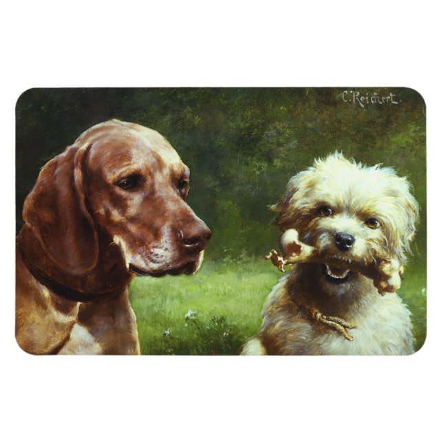 O cínico e o ímã de filósofo Premium (Horizontal)