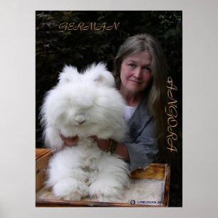 O COELHO ALEMÃO DO ANGORA ADICIONA O POSTER