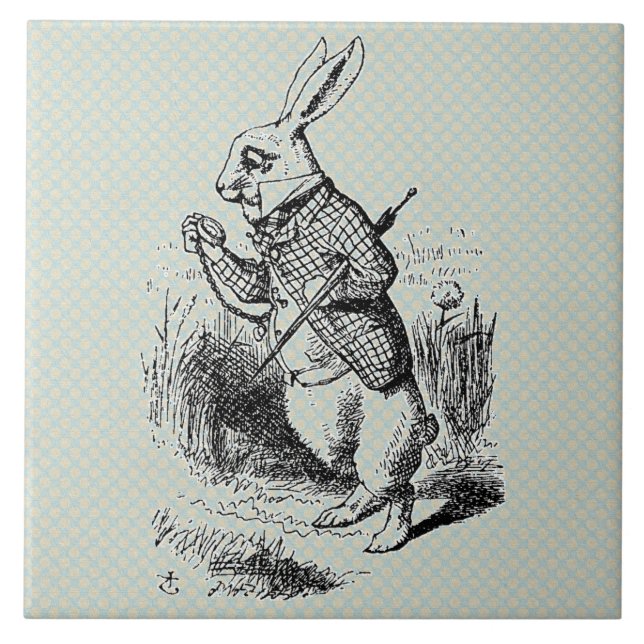 O coelho branco de Vintage Alice (Frente)