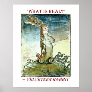 O coelho de Velveteen - Poster
