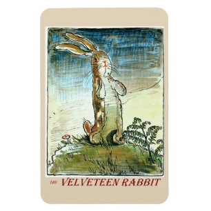 O coelho do Velveteen - ímã