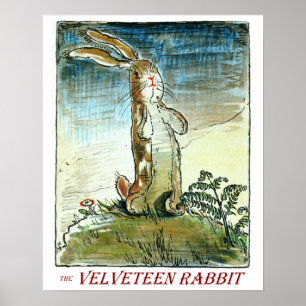 O coelho do Velveteen - poster