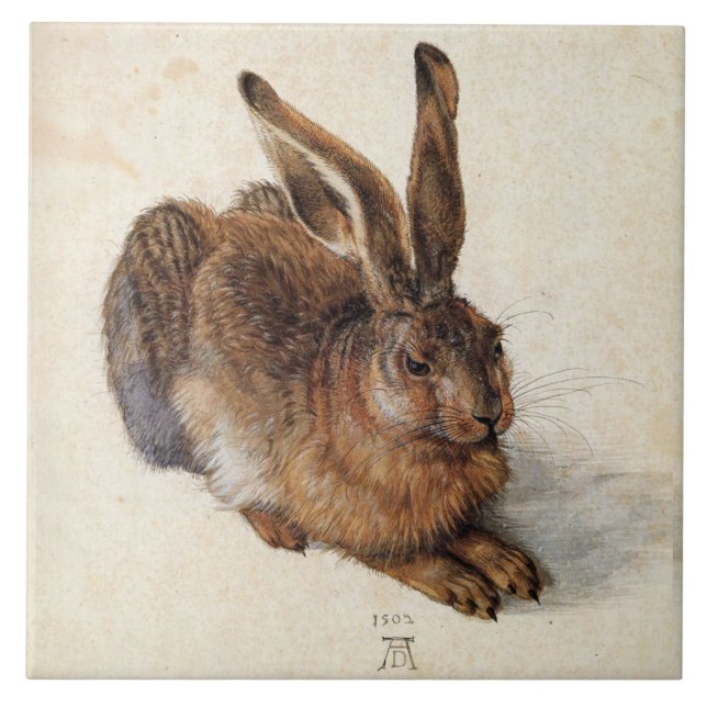 O COELHO (Jovens lebres) de Albrecht Durer (Frente)