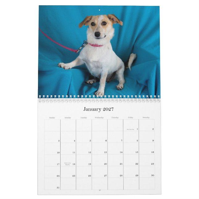 O cofre forte entrega o calendário 2015 (Jan 2027)