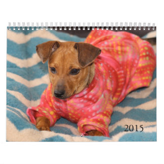 O cofre forte entrega o calendário 2015