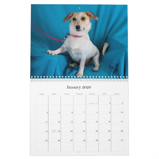 O cofre forte entrega o calendário 2015 (Jan 2026)