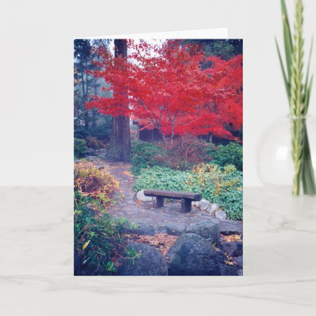 O convite da queda sentar-se (Frente)