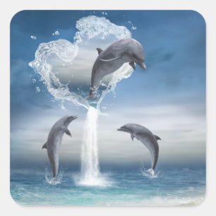 O coração do adesivo dos golfinhos