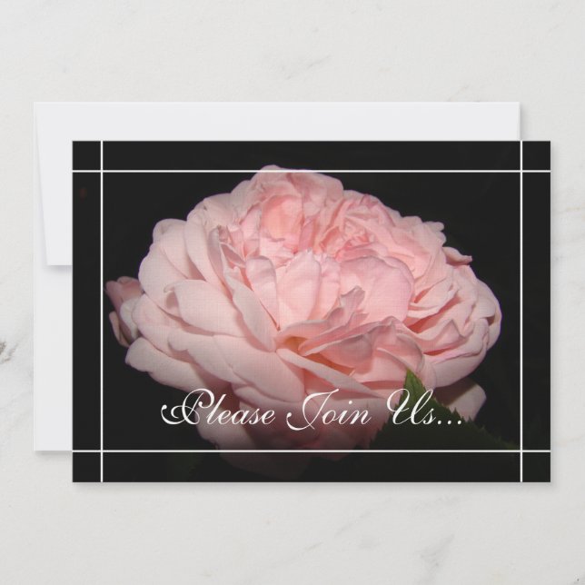 O coral aumentou convites da renovação do voto de (Frente)