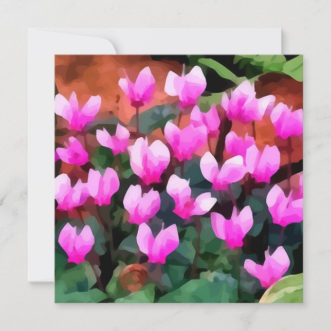 O Cyclamen floresce o convite (Frente)
