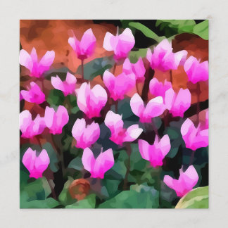 O Cyclamen floresce o convite