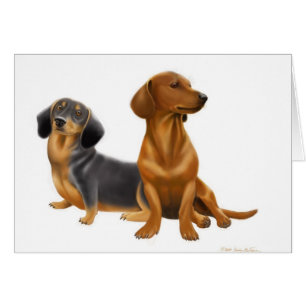 O Dachshund persegue o cartão