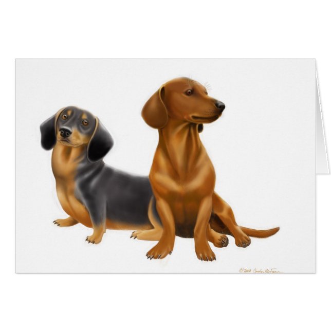 O Dachshund persegue o cartão (Frente Horizontal)