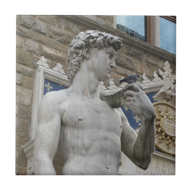 O David Florença de Michelangelo, Italia (Frente)