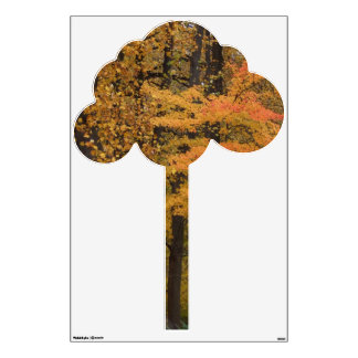 O decalque 45" da parede da árvore das folhas da