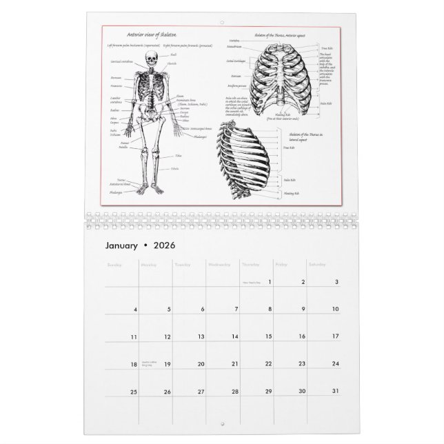 O Dem desossa o calendário (Jan 2026)